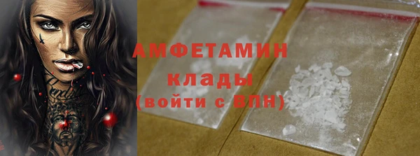 крисы Кулебаки