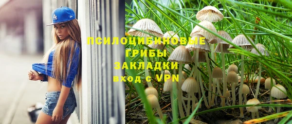 мескалин Пестово