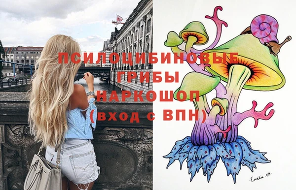 стаф Пересвет