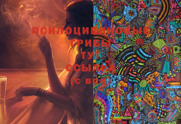 молекула духа Лихославль